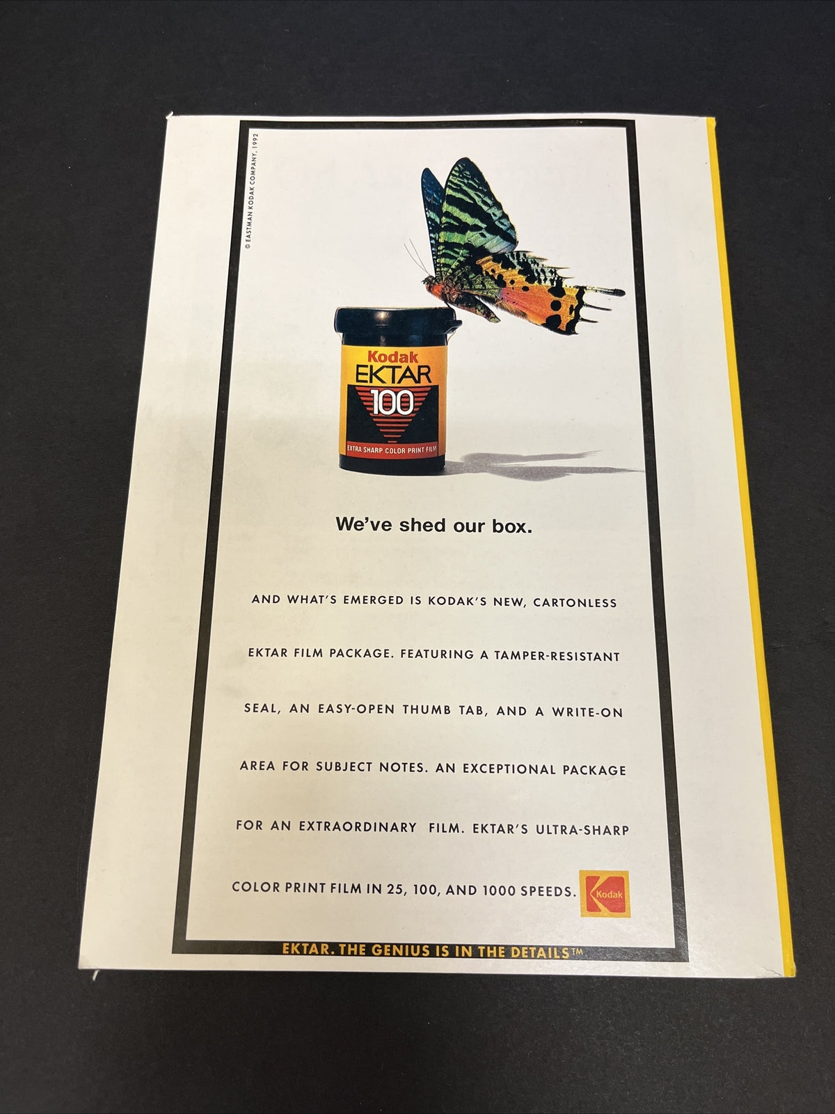 September 1992 National Geographic Magazine "Dolphins in Crisis"