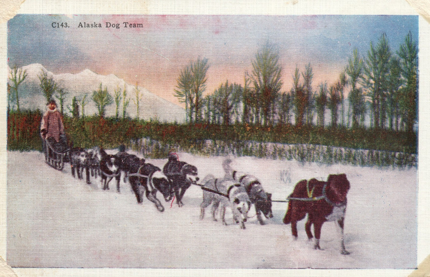  Alaska  Dog Team C143 AK Postcard Eskimo 