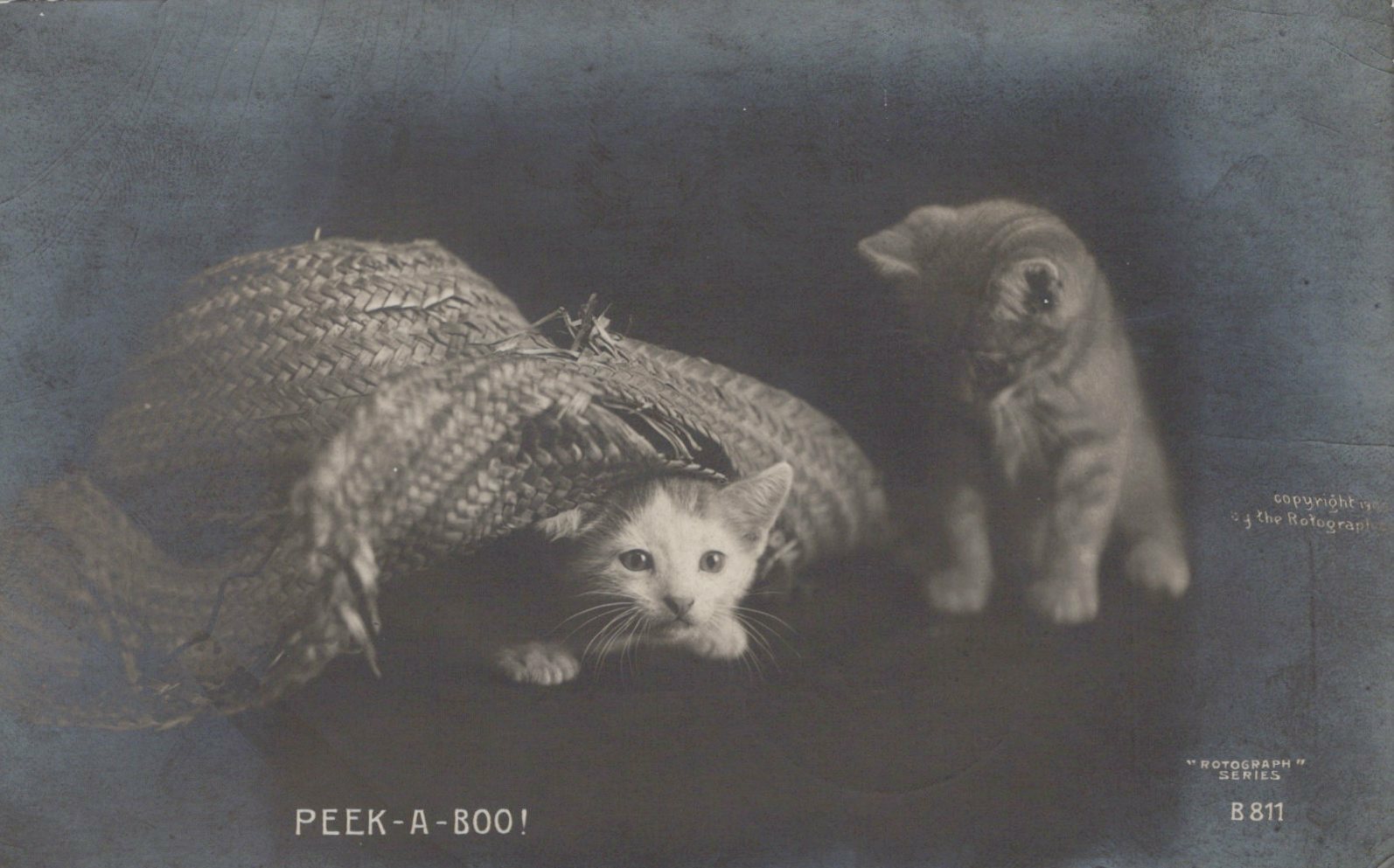 Two Kittens Play with Hat "Peek-A-Boo!" Rotograph Co Cat Animal Postcard B811