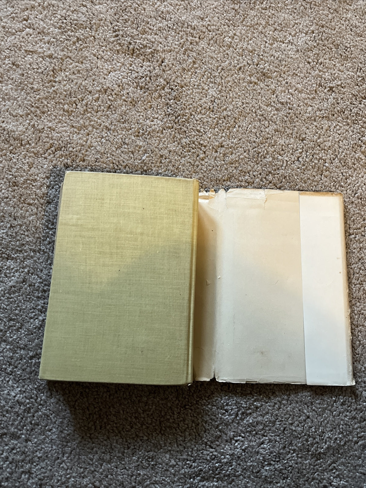 The Meadow-Brook Girls A Float by Janet Aldridge 1913 Edition HC Book