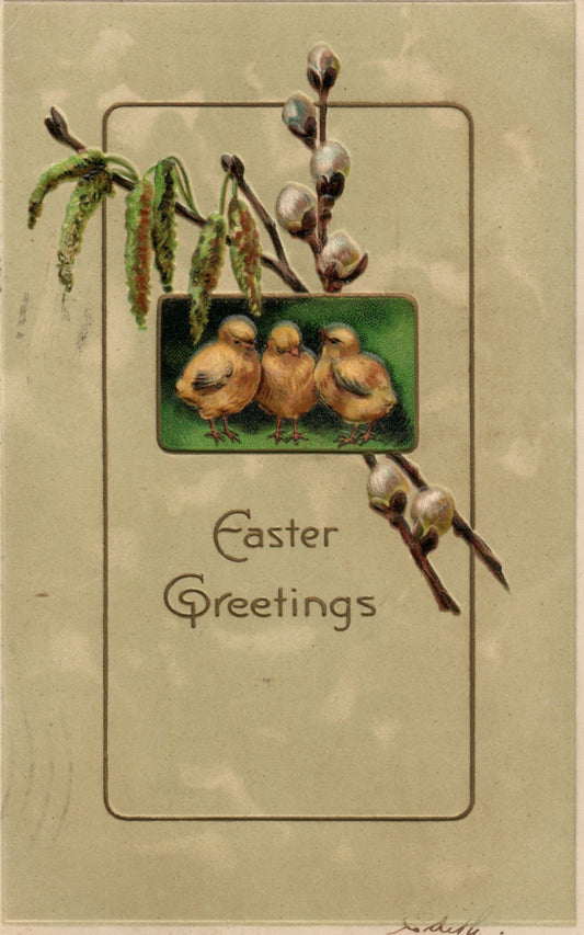 Chicks Cotton Buds and Seed Pods Easter Greetings Postcard