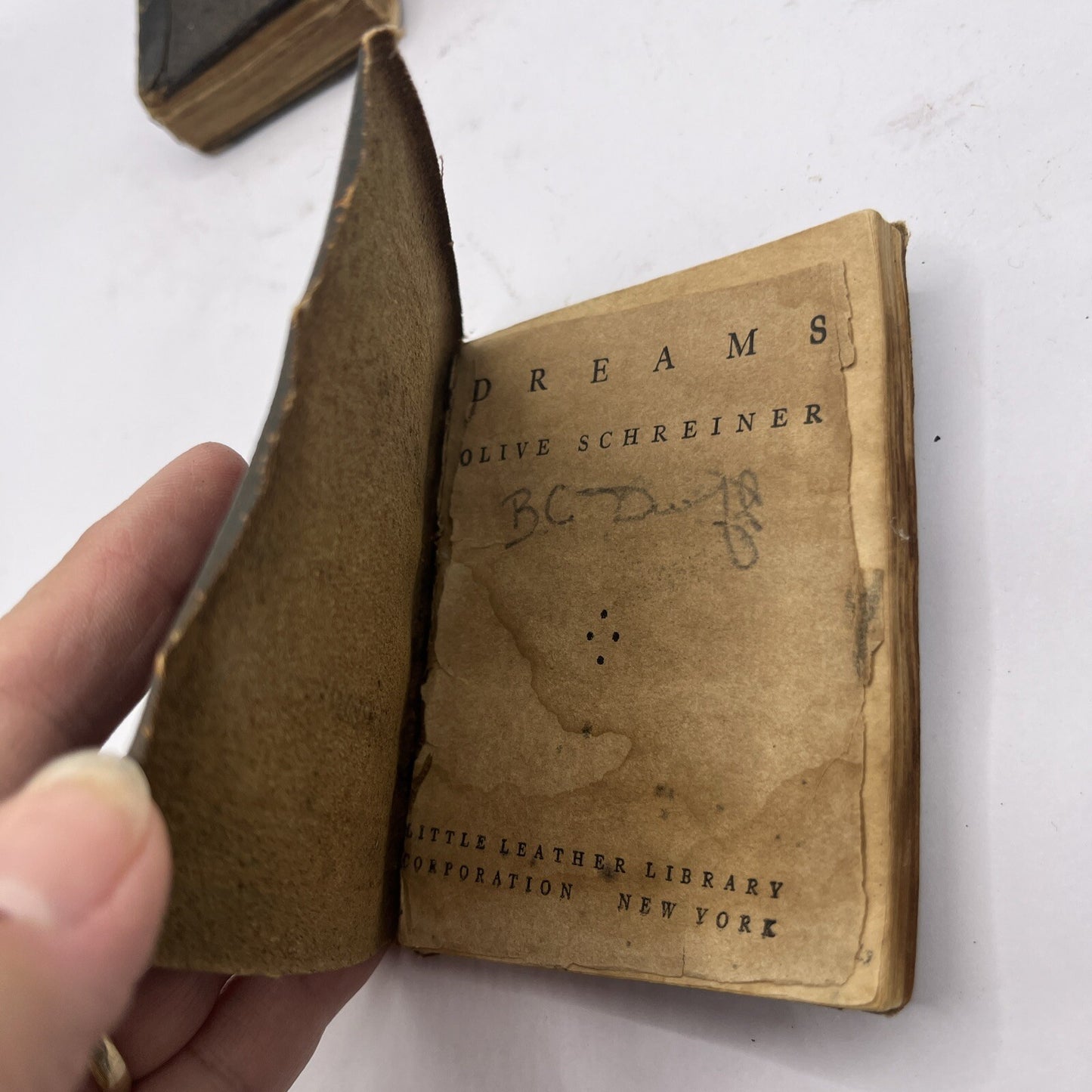 Little Leather Library Book - Dreams by Schreiner - 
