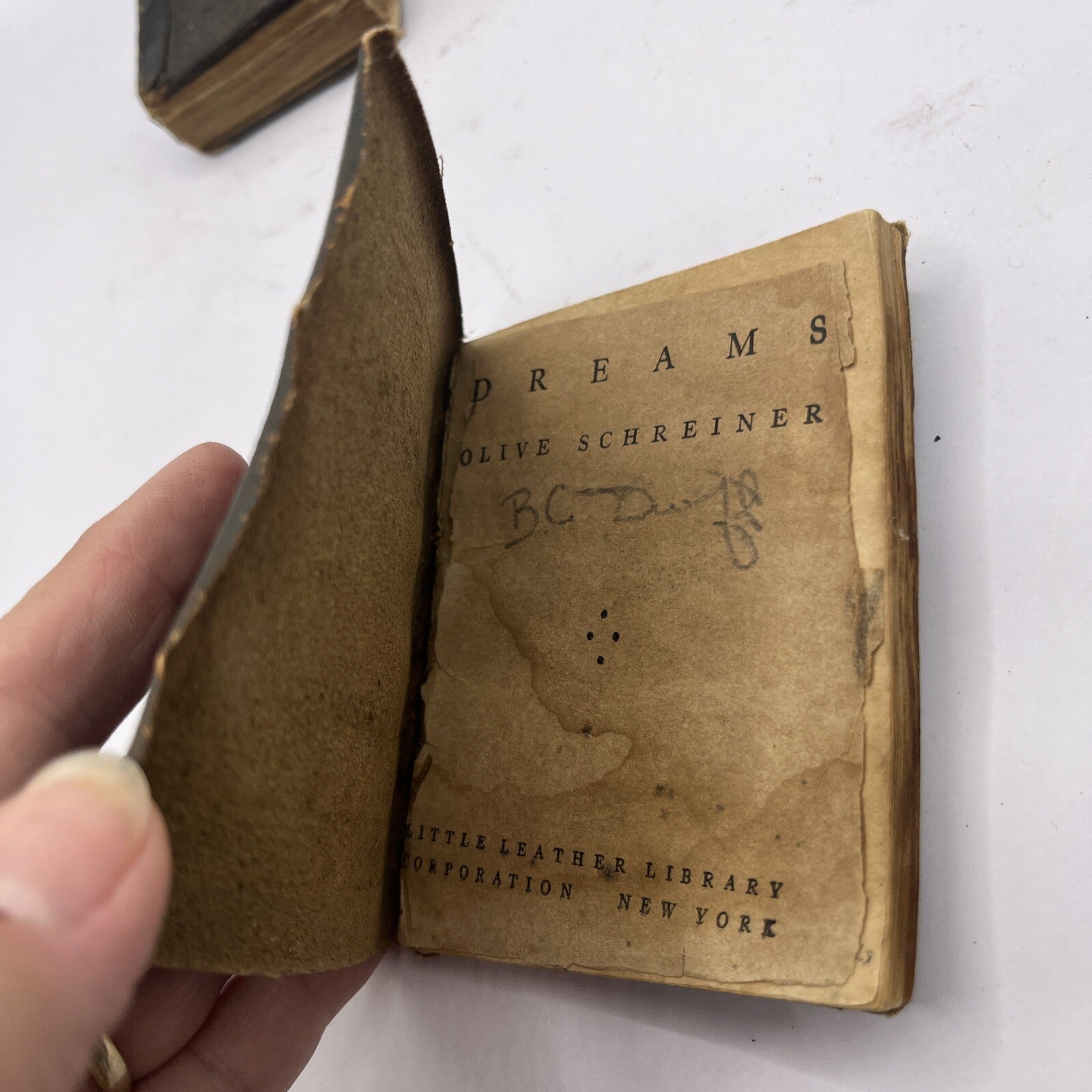 Little Leather Library Book - Dreams by Schreiner - 