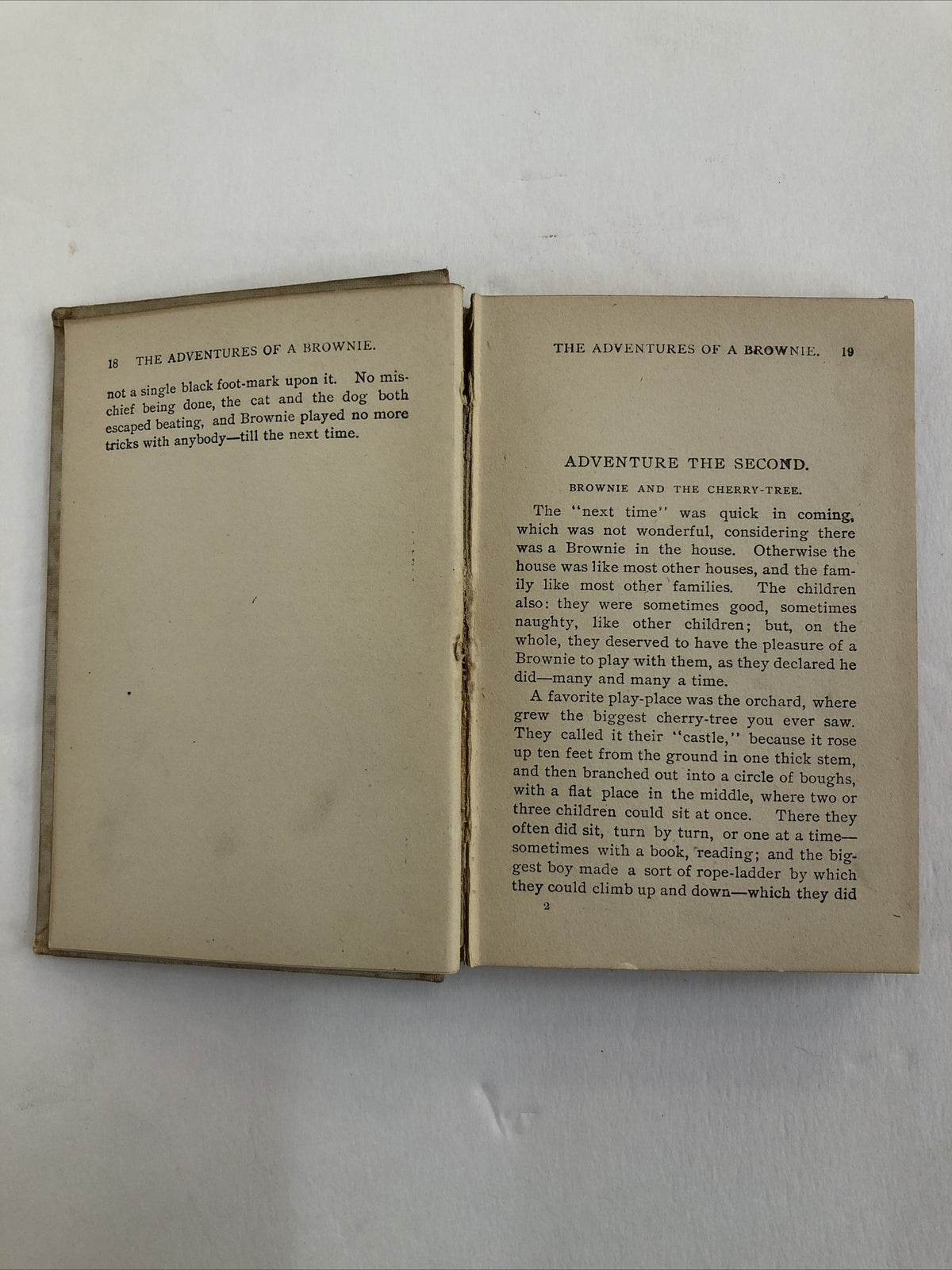 Adventures of a Brownie book Mulock