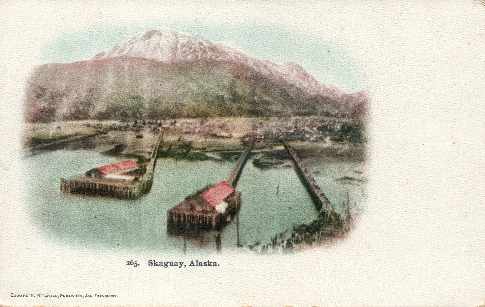 Early Pre 1907 #265 Skaguay Alaska AK Postcard