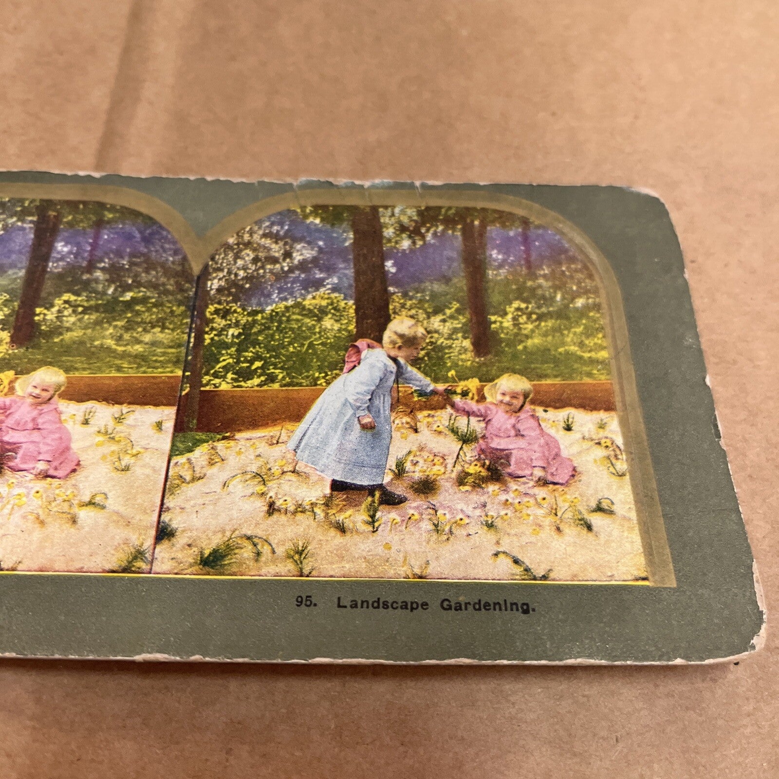 LANDSCAPE GARDENING KIDS, POLYCHROME STEREOVIEW Color Card