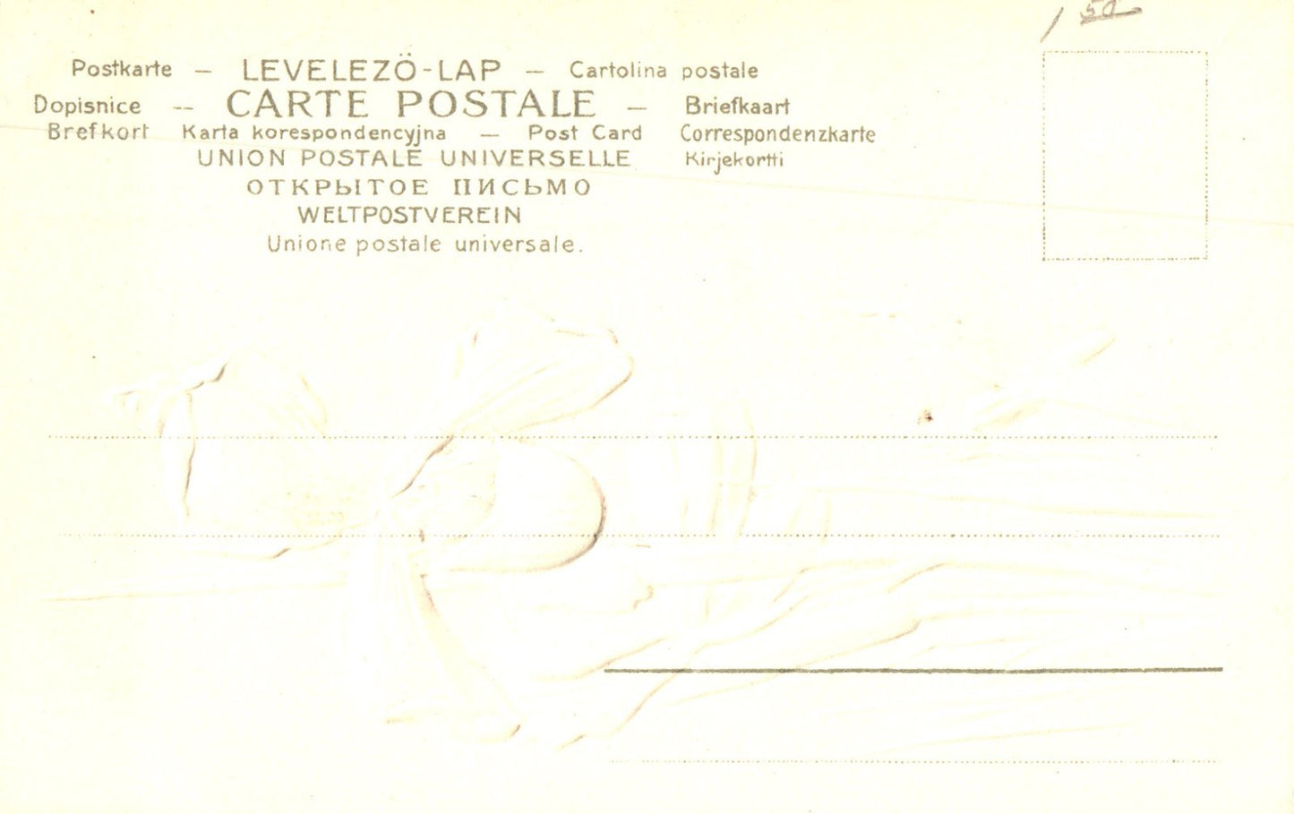 Early Pre 1907 Artist Signed Catherine Klein Embossed Iris Flowers postcard