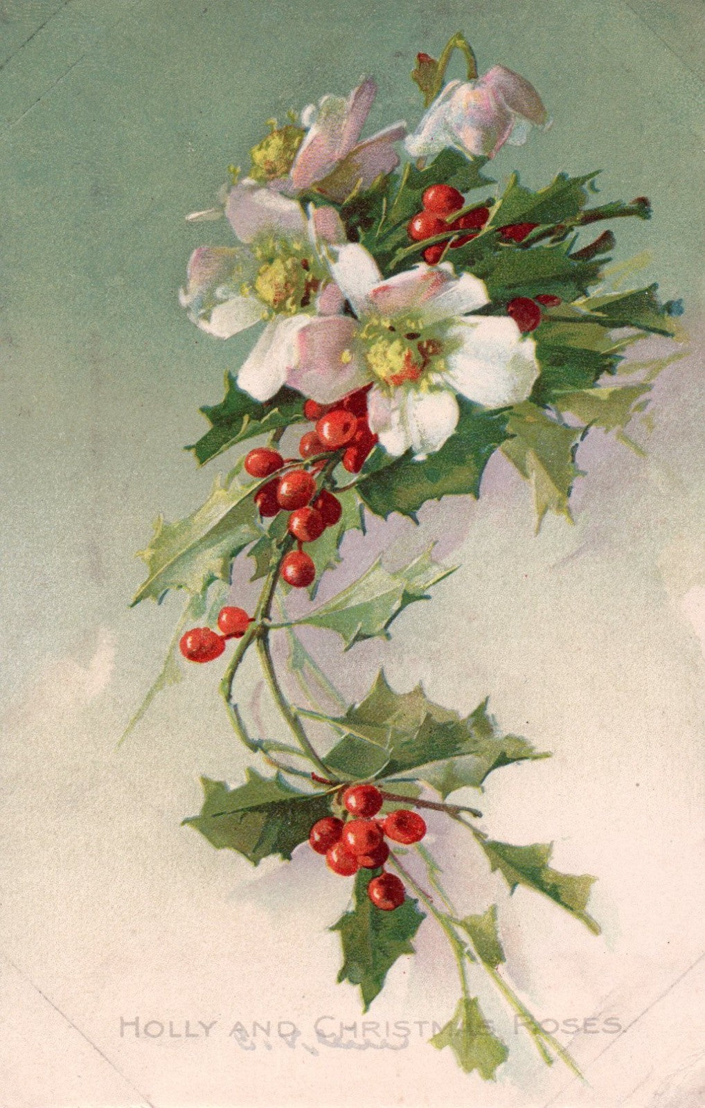 Artist Signed Catherine Klein Flowers Holly Christmas Rose Tuck Series 4061