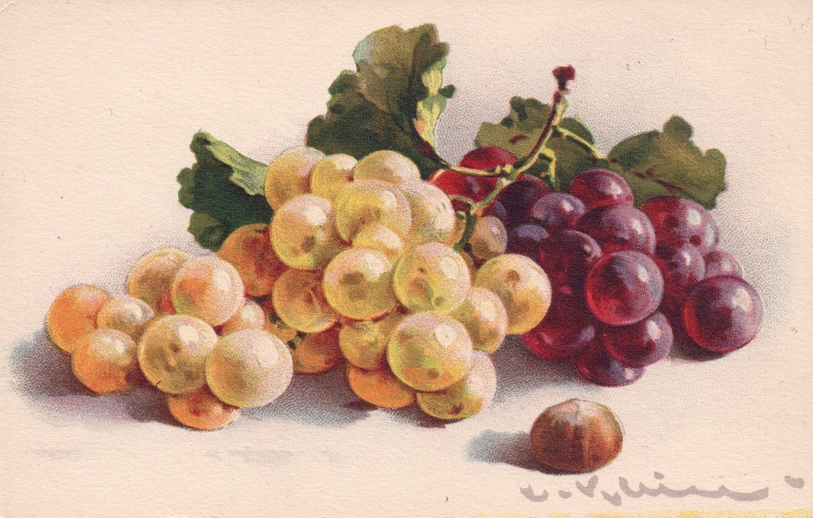 Artist Signed Catherine Klein Grape Clusters