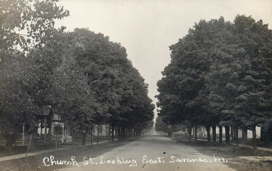 Church Street Looking East Saranac Mich MI Michigan Real Photo Postcard 