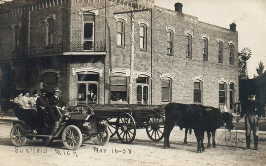 1908 Real Photo Sunfield Main Street People Carriage Michigan MI Postcard 