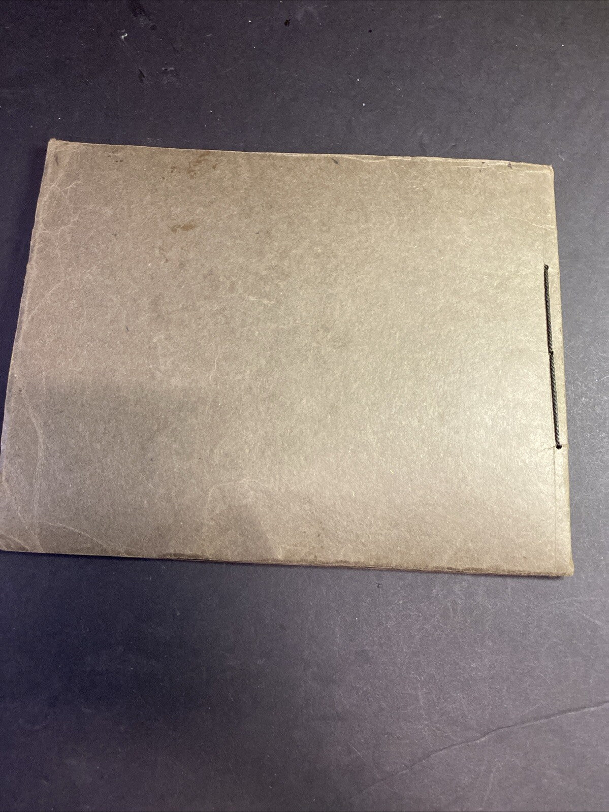 Antique The Shasta Route Along the Southern Pacific Railroad Pictorial Book 1915