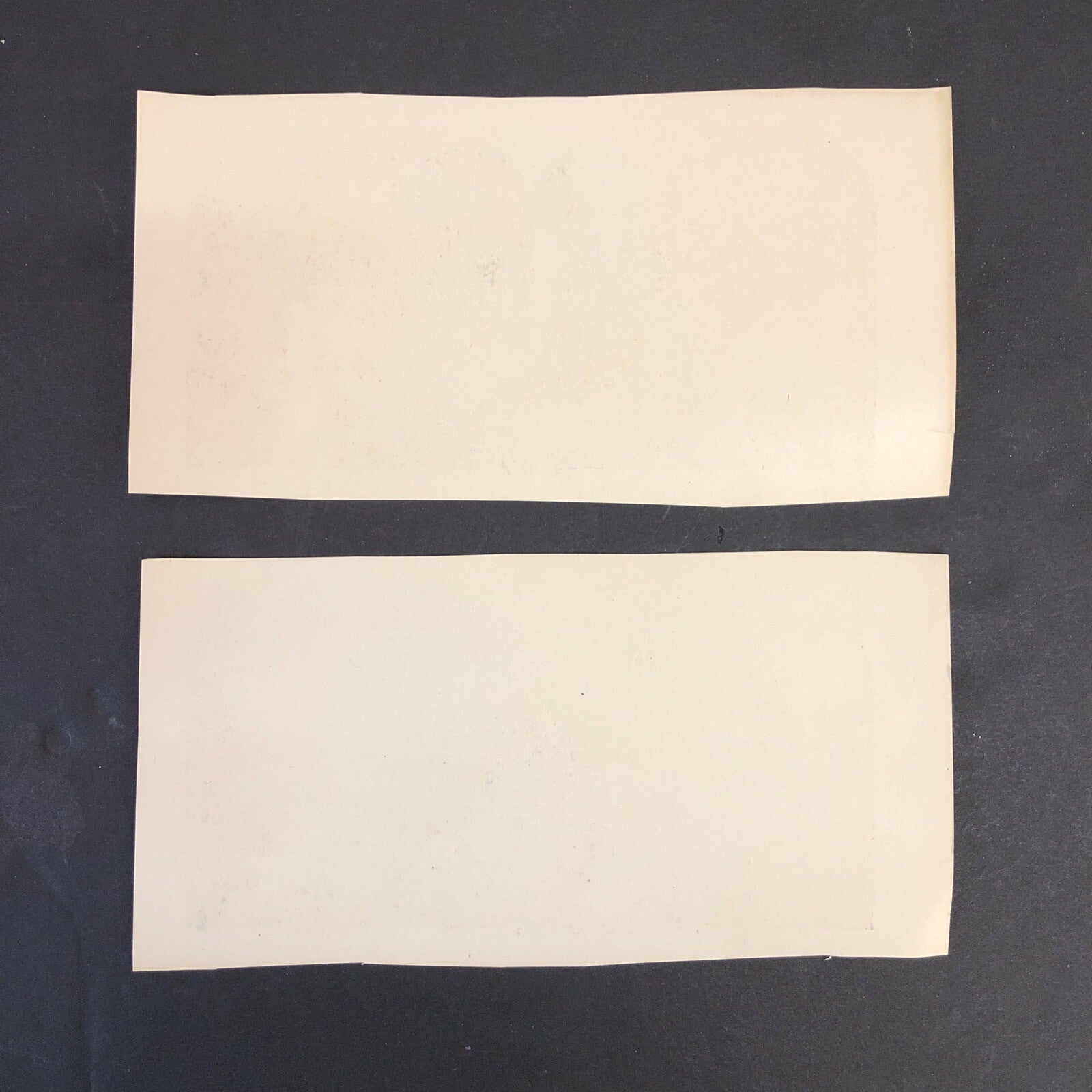 RARE Stereoview Paper Cards Japan Iris Garden Shinto Priests Tokio Lot of 2