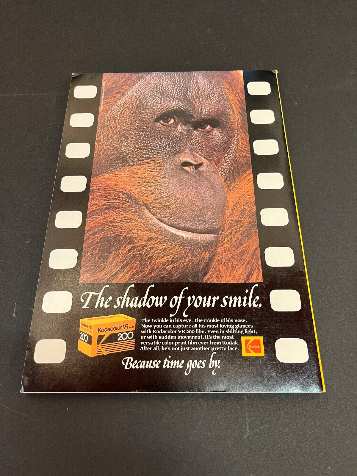 May 1984 National Geographic  VESUVIUS DEAD Pozzuoli KRILL Brazil's Kayapo Gold