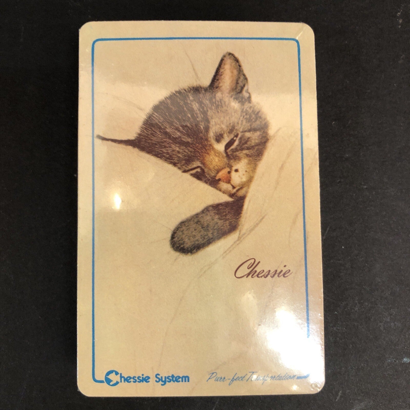 NIB Sealed Chesapeake & Ohio Railway Chessie & Peake Cat Playing Cards Purr-fect