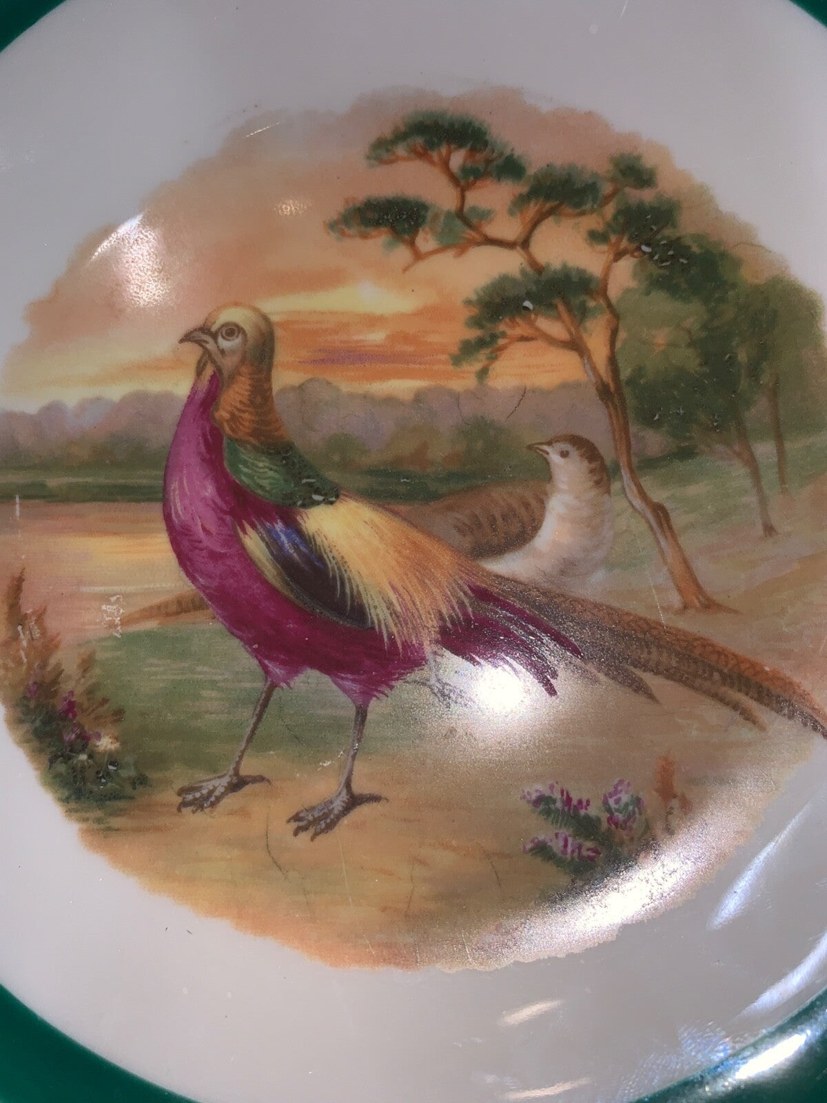 8in Porcelain German Pheasant Bird Plate Schwarzenhammer Germany Vintage Plate