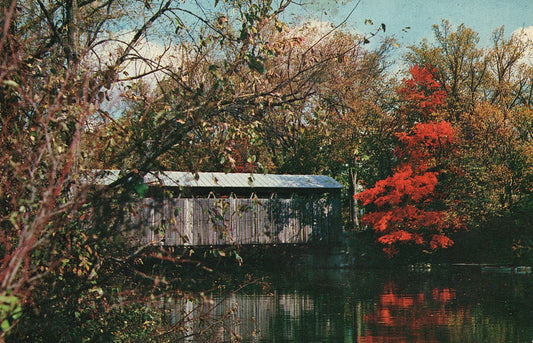 Fall View Covered Bridge Fallasburg Park Lowell Michigan MI Postcard
