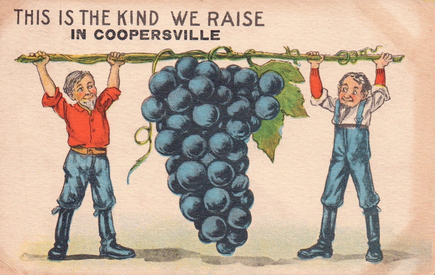 This Is The Kind We Raise in Coopersville MI Michigan Postcard