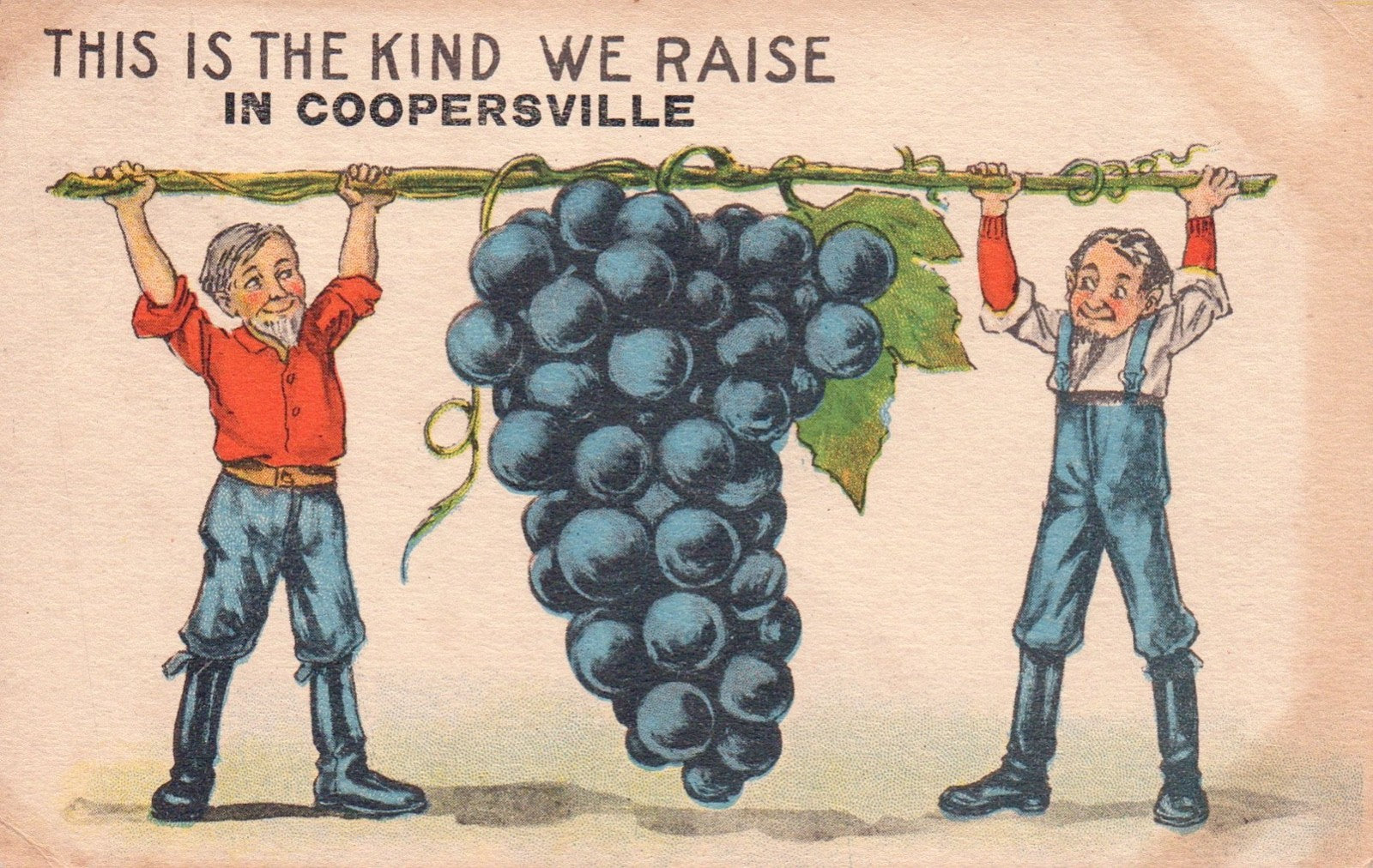 This Is The Kind We Raise in Coopersville MI Michigan Postcard