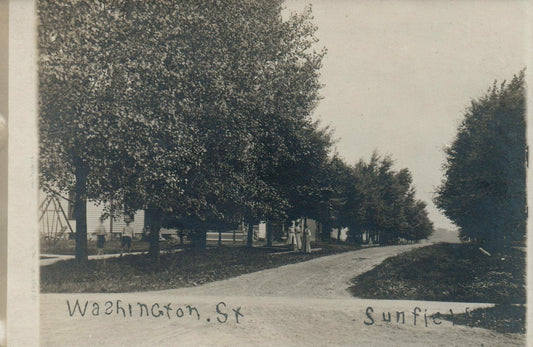 View Of Washington Street Children Walking Sunfield Michigan MI Postcard