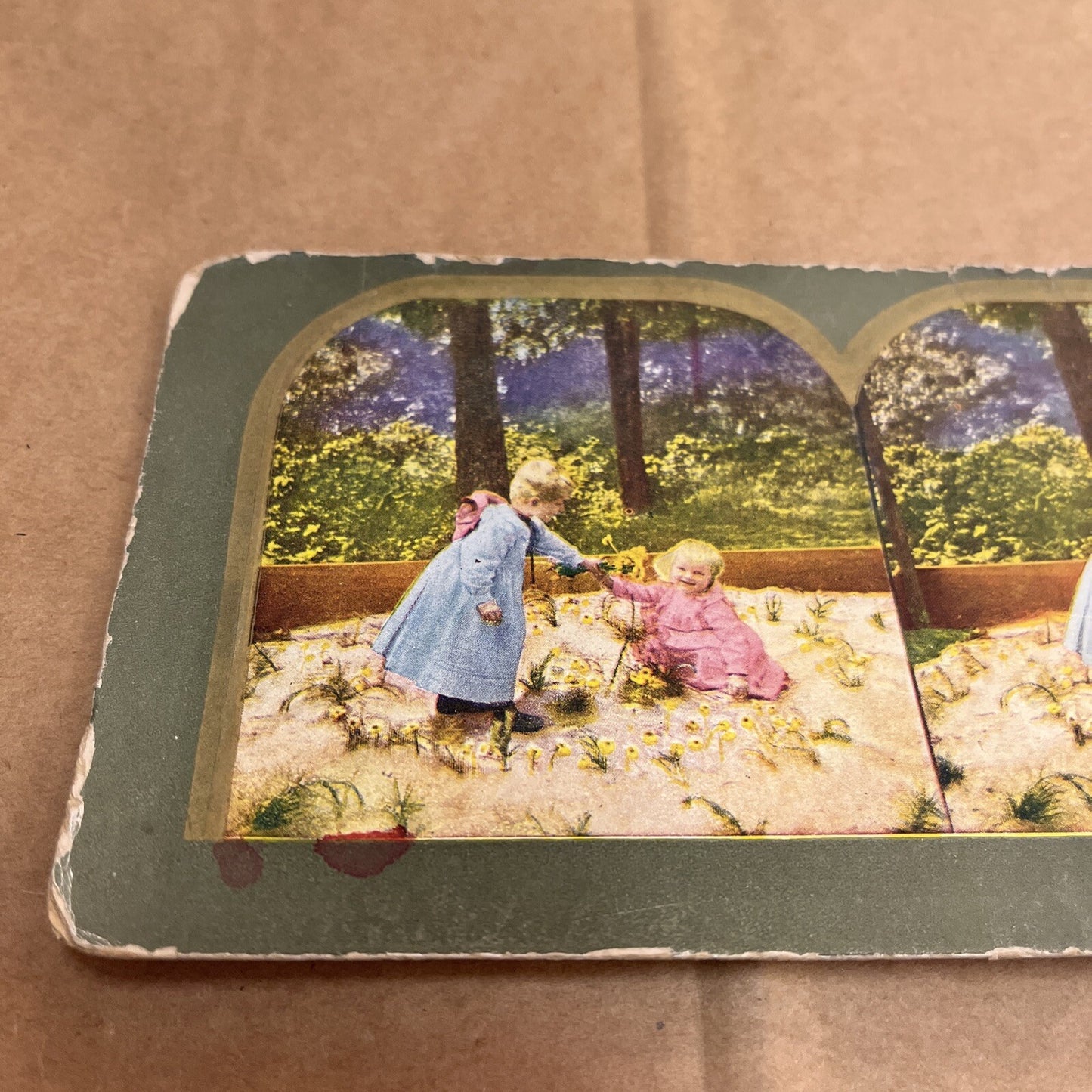 LANDSCAPE GARDENING KIDS, POLYCHROME STEREOVIEW Color Card