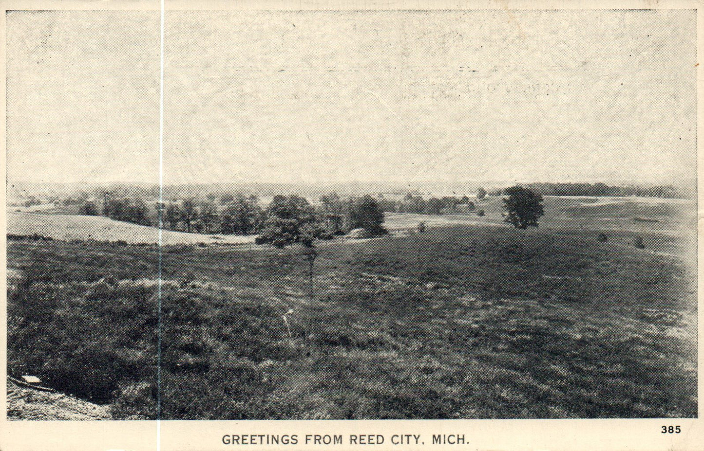 Greetings From Reed City Michigan MI Mich Postcard