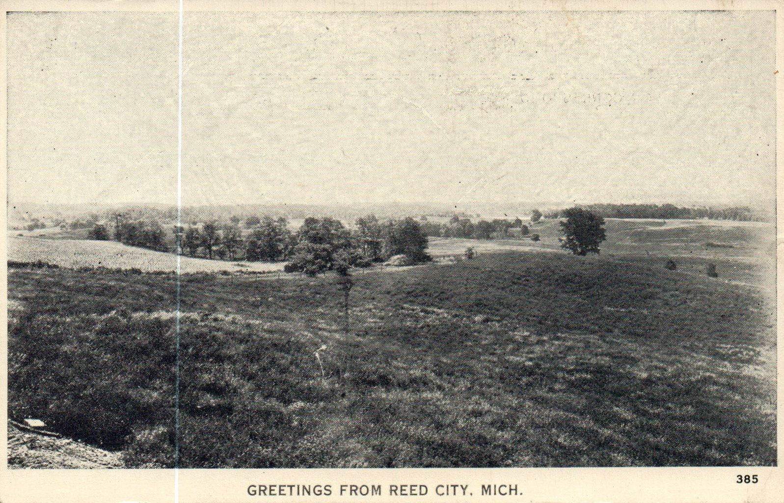 Greetings From Reed City Michigan MI Mich Postcard