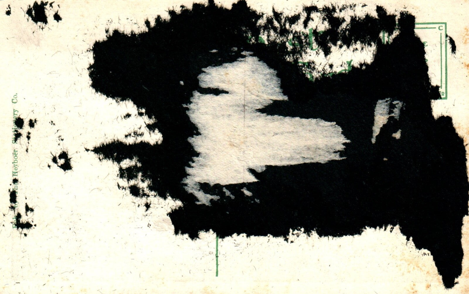 Bird's Eye View Looking Over Fulton Pk in Grand Rapids MI MICH MICHIGAN Postcard