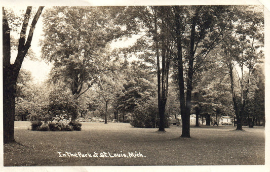 In the Park at St. Louis Michigan Michigan Mich MI Postcard