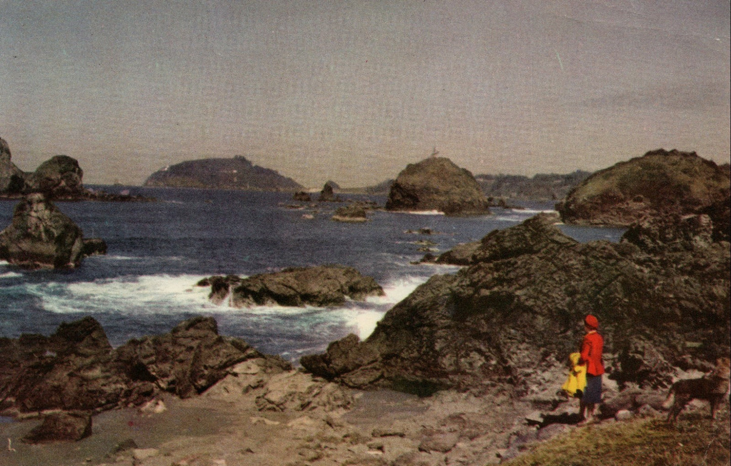 Union Oil Company National Color Scenes West  Advertising Postcard