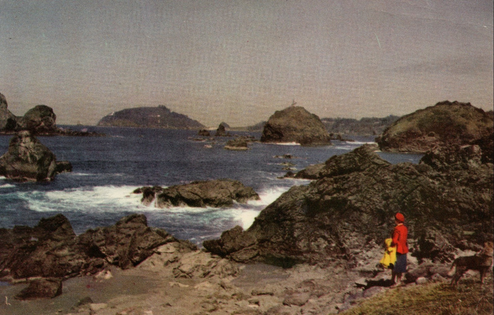 Union Oil Company National Color Scenes West  Advertising Postcard