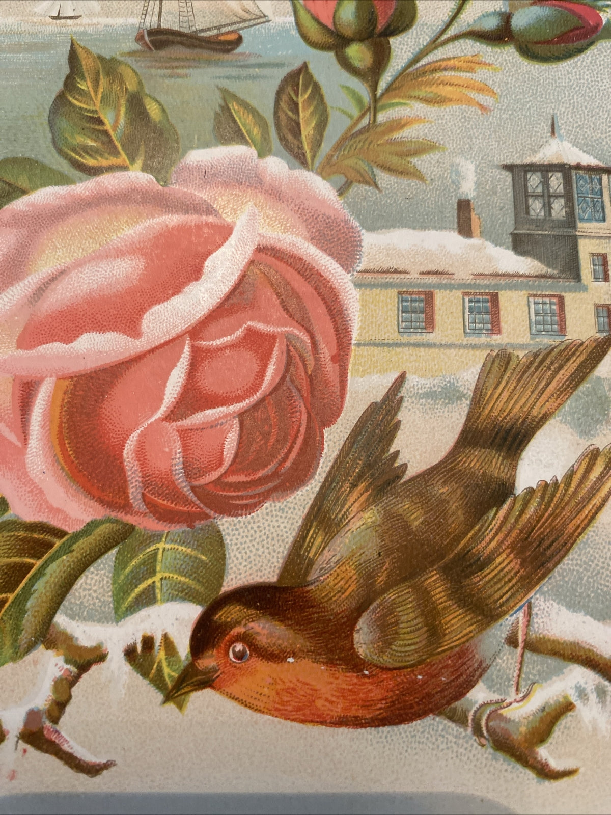 Reward of merit Vintage Victorian School Ephemera  Gibson & Co Bird Rose