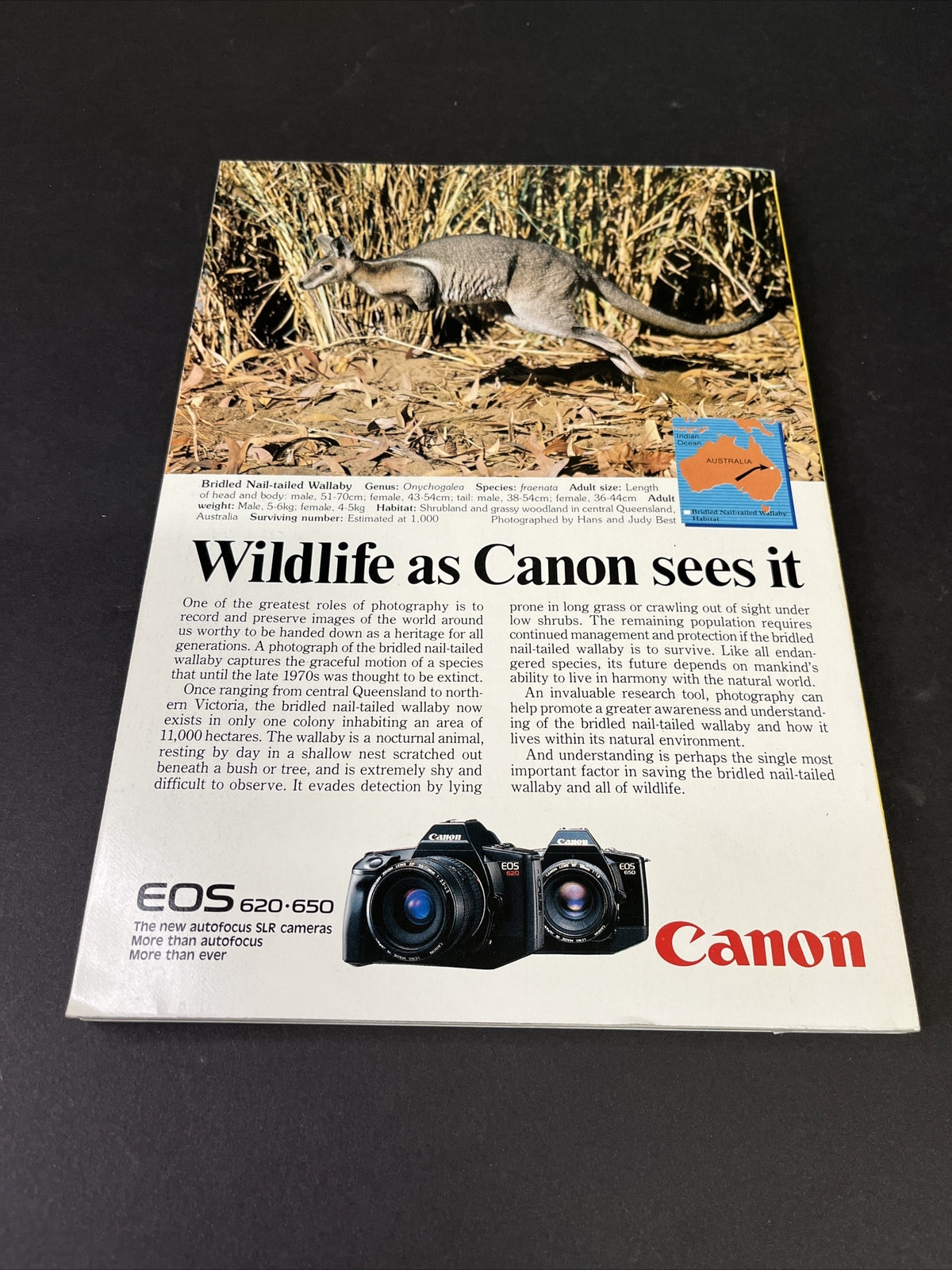 February 1988 National Geographic Australia a Bicentennial Down Under