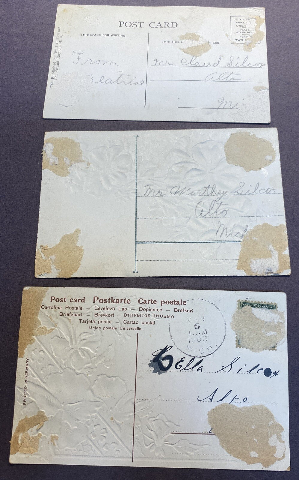 Lot of 3 Alto Michigan Mich MI Postcard Flowers & McKewen Lake