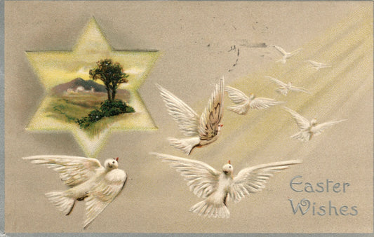 Davidson Brothers Easter Series 31 White Dove Easter Postcard