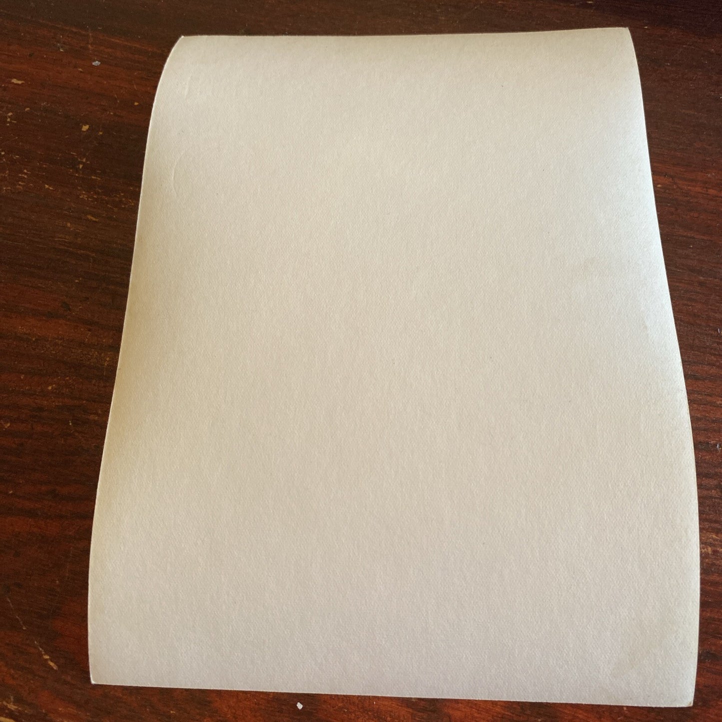 Hollywood Movie Star AUTOGRAPHED INK  Real PHOTO  Virginia Mayo  Signed 5 x 7