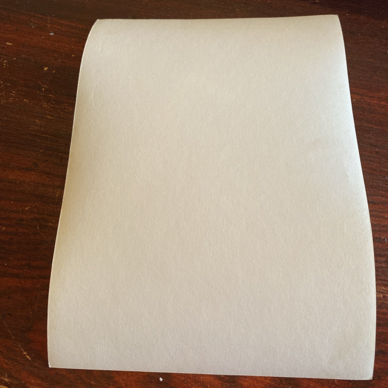 Hollywood Movie Star AUTOGRAPHED INK  Real PHOTO  Virginia Mayo  Signed 5 x 7