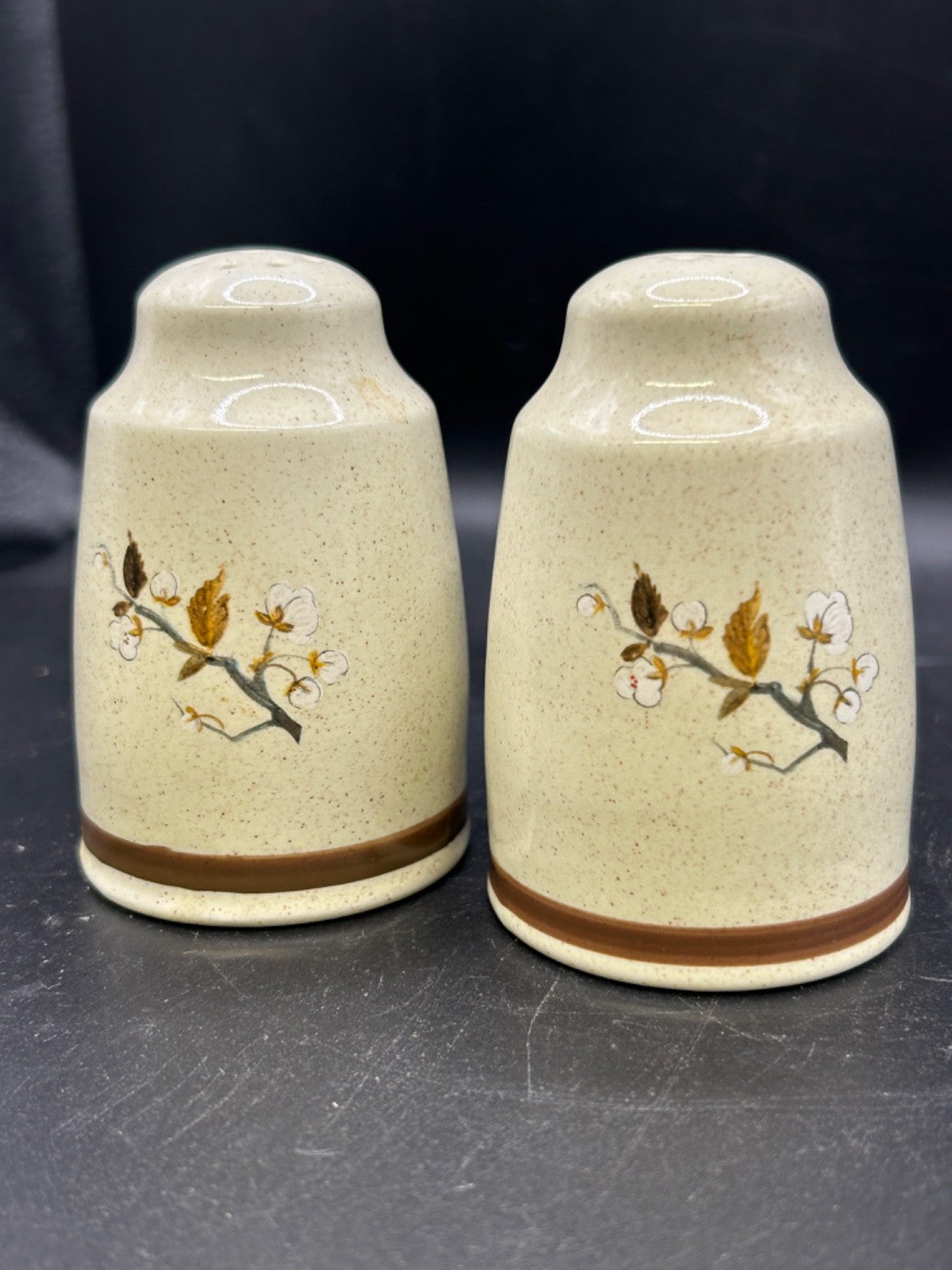 Royal Doulton WILD CHERRY Salt & Pepper Shakers Made in England Lambethware 1979