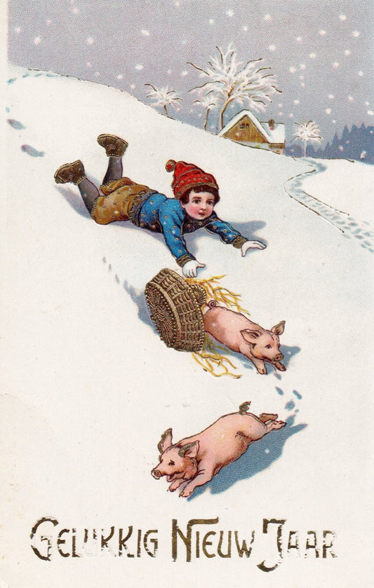 Pigs Running Loose After Child Falls in the Snow Vintage Pig Postcard