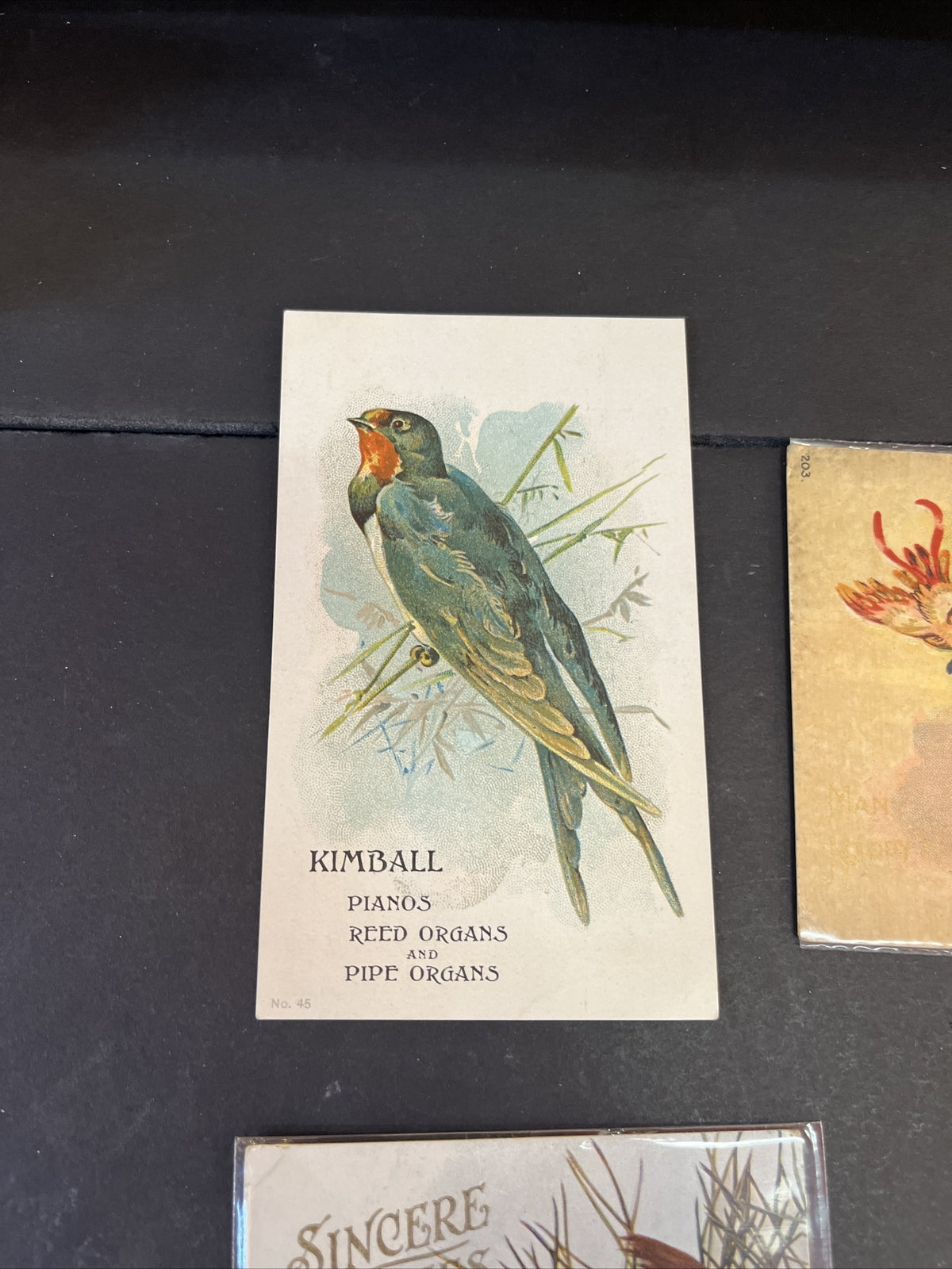 Set of 6 NEW Bird Postcards