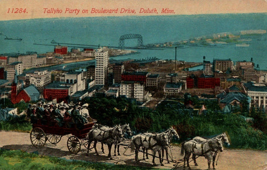Six Gray Horses Pull Wagon Tallyho Party on Boulevard Drive Duluth Minn Animal