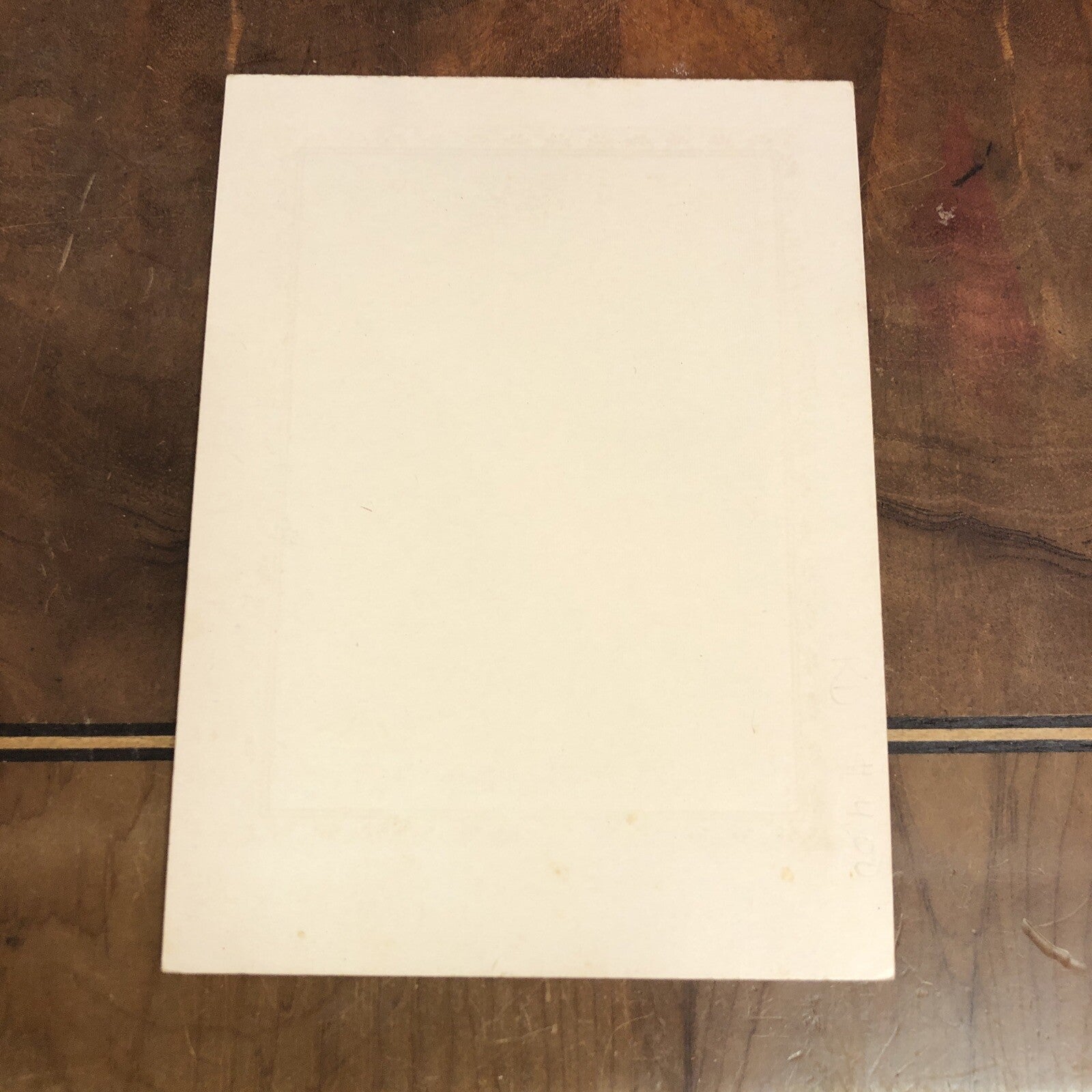 Victorian Real Photo CDV Woman Holds Child on Lap Poisson Grand Rapids MI MICH