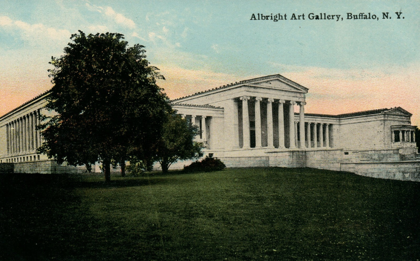 Albright Art Gallery Buffalo New York NY Postcard