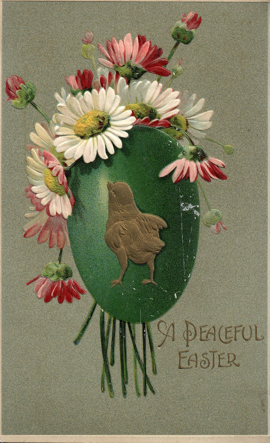 Peaceful Easter Chick Egg Daisys Postcard Series