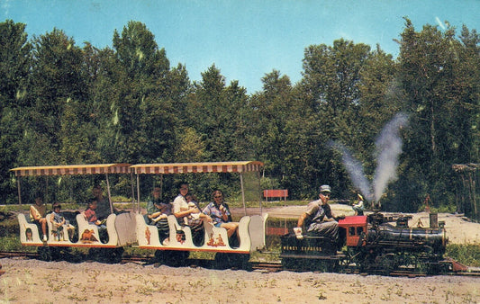 The Steam Train Deer Acres Pinconning Bay City Michigan  MI Mich Postcard