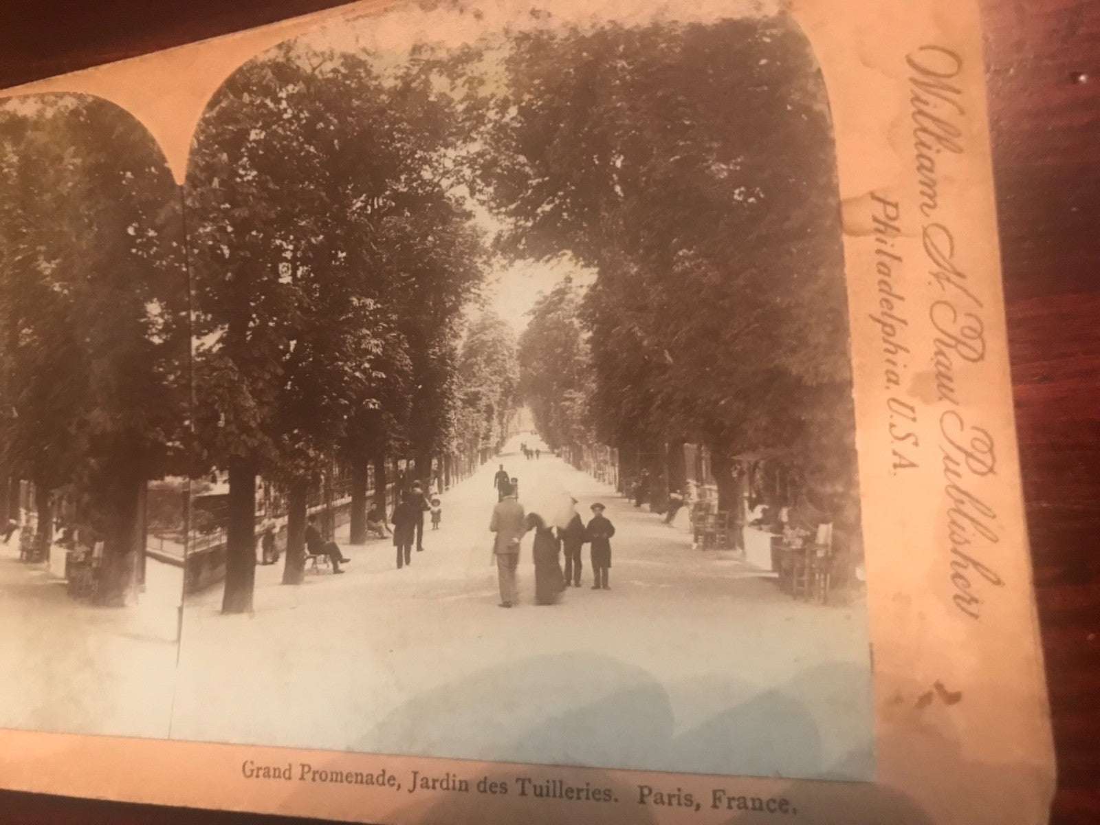 Real photo stereoview Great Promenade Jardin does Tuileries Paris France