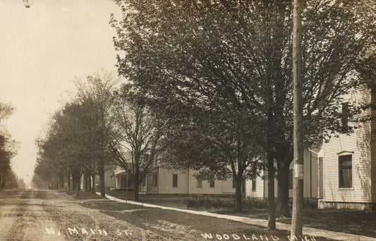 North Main Street Real Photo Homes Woodland MI Michigan Vintage Postcard 