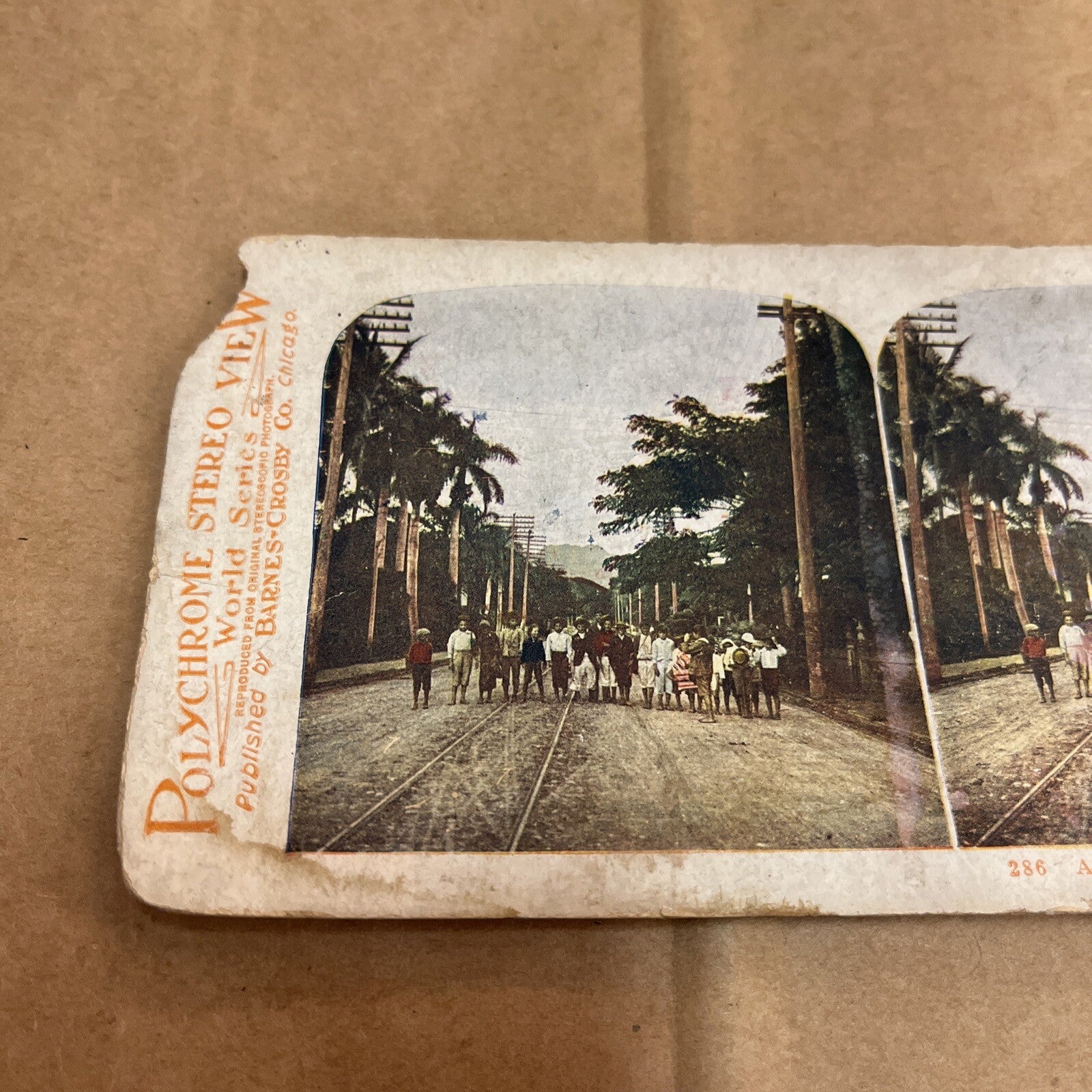 THE BEAUTIFUL RESIDENCE STREET, HONOLUIU, POLYCHROME STEREOVIEW Color Card