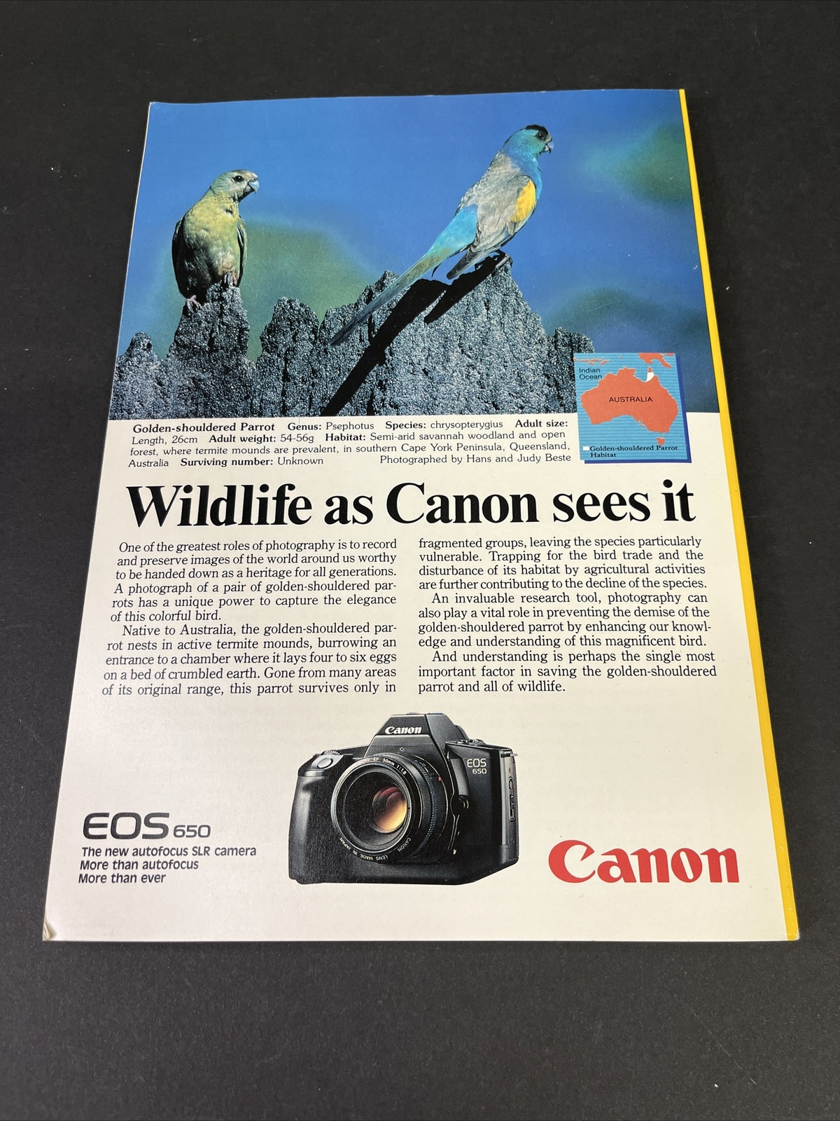 April 1987 National Geographic Seals and Their Kin 