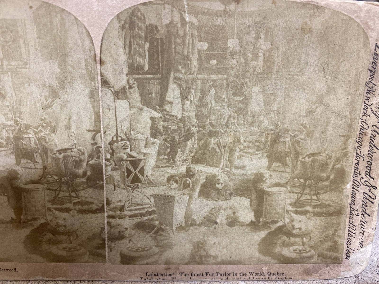THE FINEST FUR PARLOR IN THE WORLD, QUEBEC. POLYCHROME STEREOVIEW Color Card